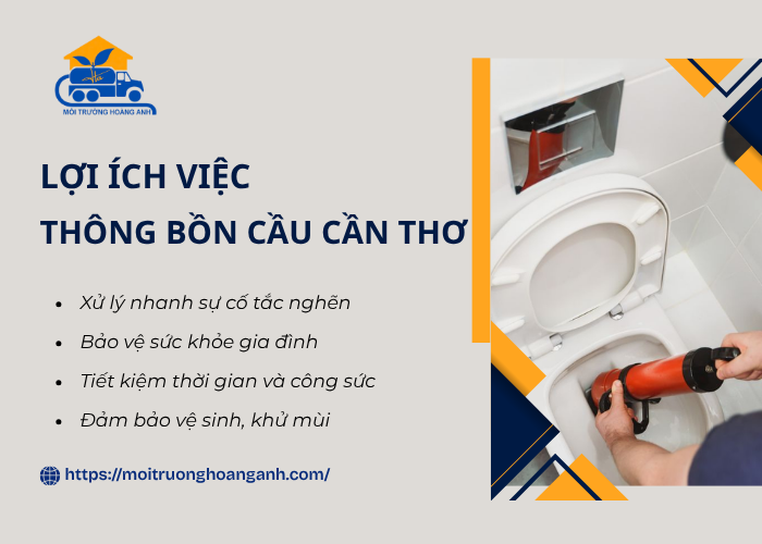Một số lợi ích thông bồn cầu tại Cần Thơ